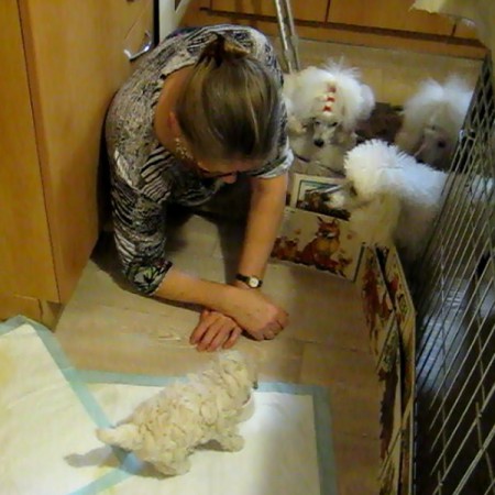 ... a všichni si mohli krky vykroutit, jak mi záviděli.